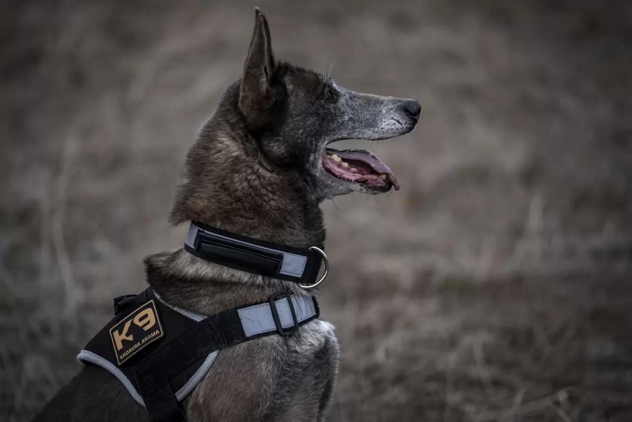 Sessiz kahraman Melo: 8 yılda 160 görevde hayatlara dokundu 10