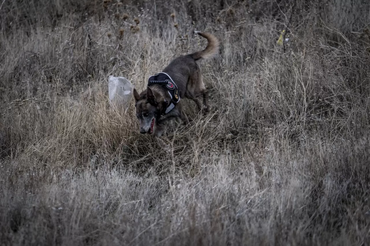 Sessiz kahraman Melo: 8 yılda 160 görevde hayatlara dokundu 9