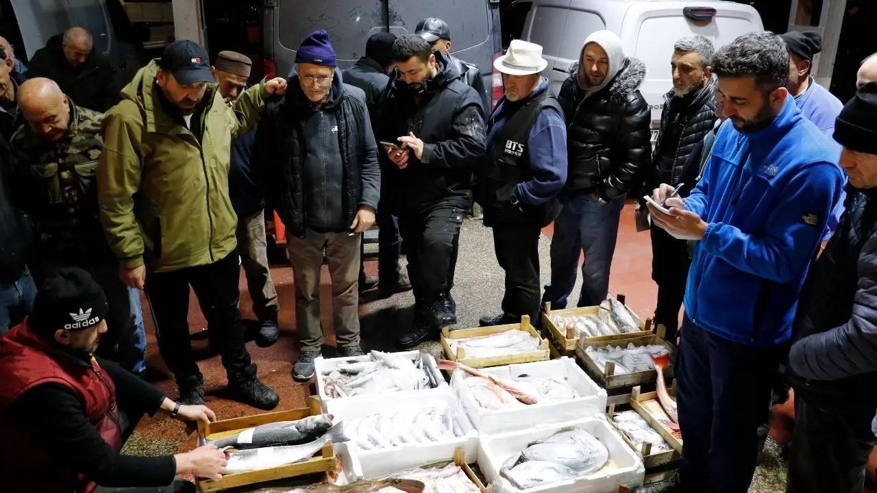 Balık hallerinde büyük tablo! Satışların yarısı tek türden çıktı 8
