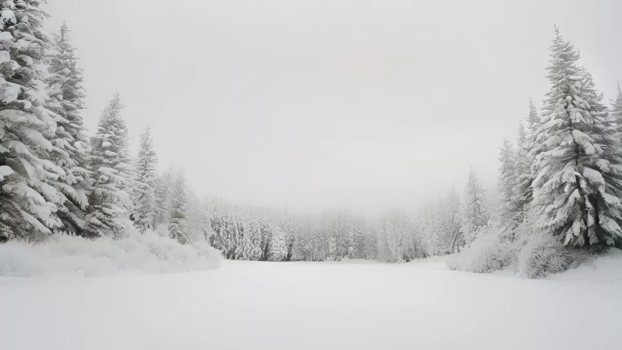 Meteoroloji uyardı: Türkiye’ye kar, fırtına ve kuvvetli yağış dalgası geliyor 5