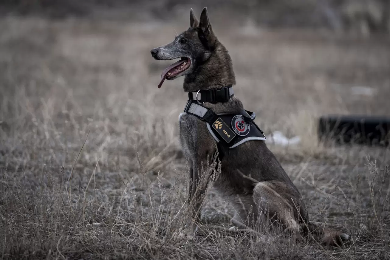 Sessiz kahraman Melo: 8 yılda 160 görevde hayatlara dokundu 7