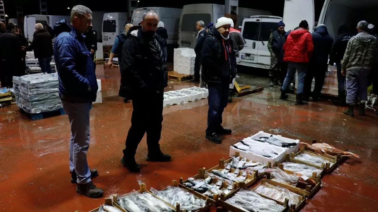 Balık hallerinde büyük tablo! Satışların yarısı tek türden çıktı 5