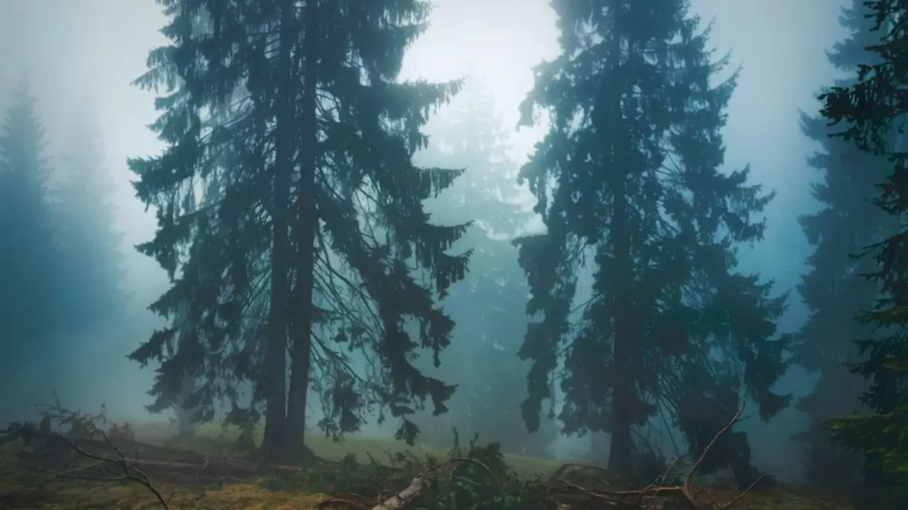 Meteoroloji’den kritik uyarı: Bu bölgelerde yağış, sis ve kar geri dönüyor! İl il hava durumu 3
