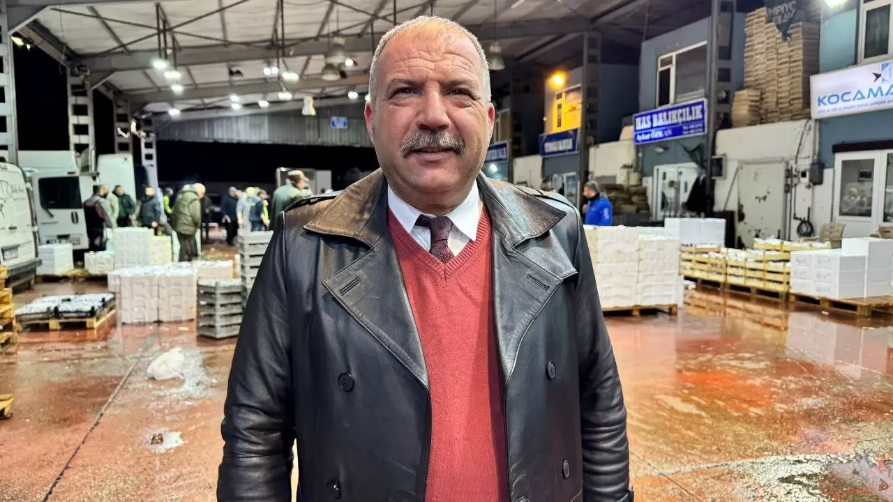Balık hallerinde büyük tablo! Satışların yarısı tek türden çıktı 2