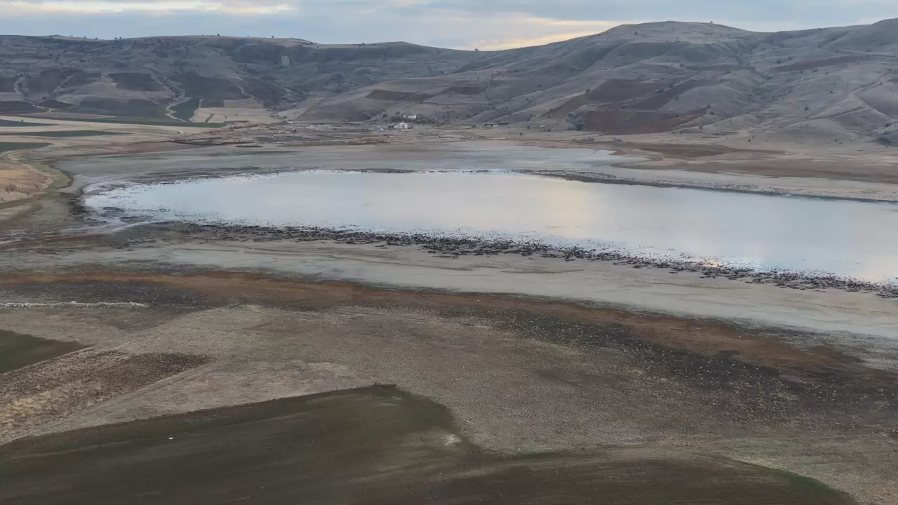 Kuruyan Bingöl Gölü yeniden hayat buldu: Kuşlar geri döndü 6