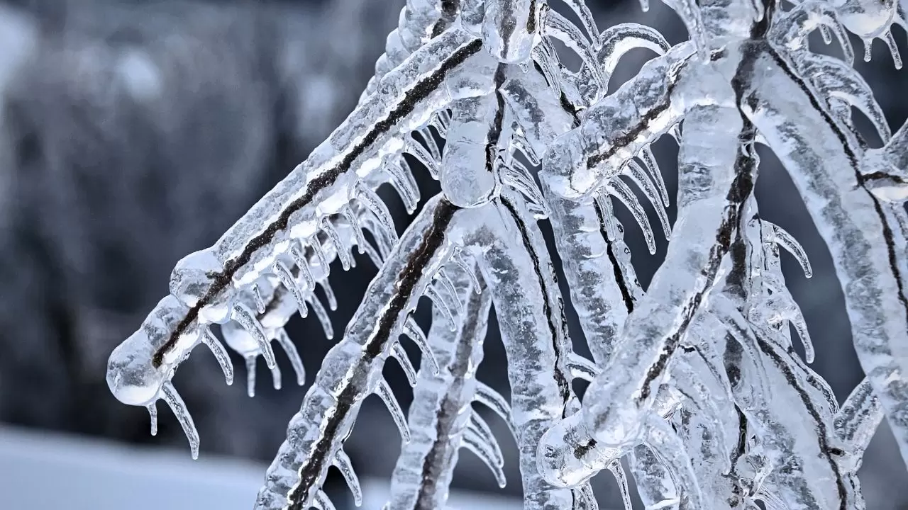 Meteoroloji alarm verdi: Türkiye genelinde kar ve sağanak etkili olacak! 2