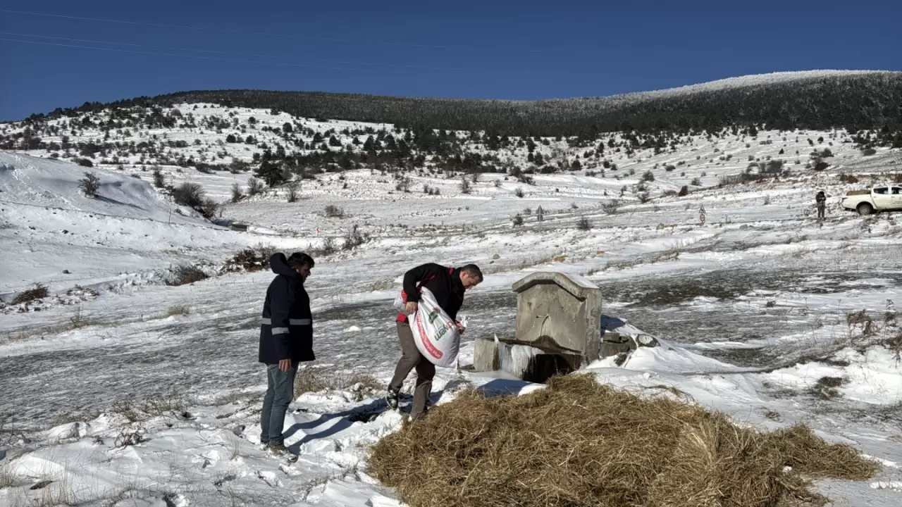 Alaçam’da kış kendini gösterdi! Ormanlar beyaza büründü 3