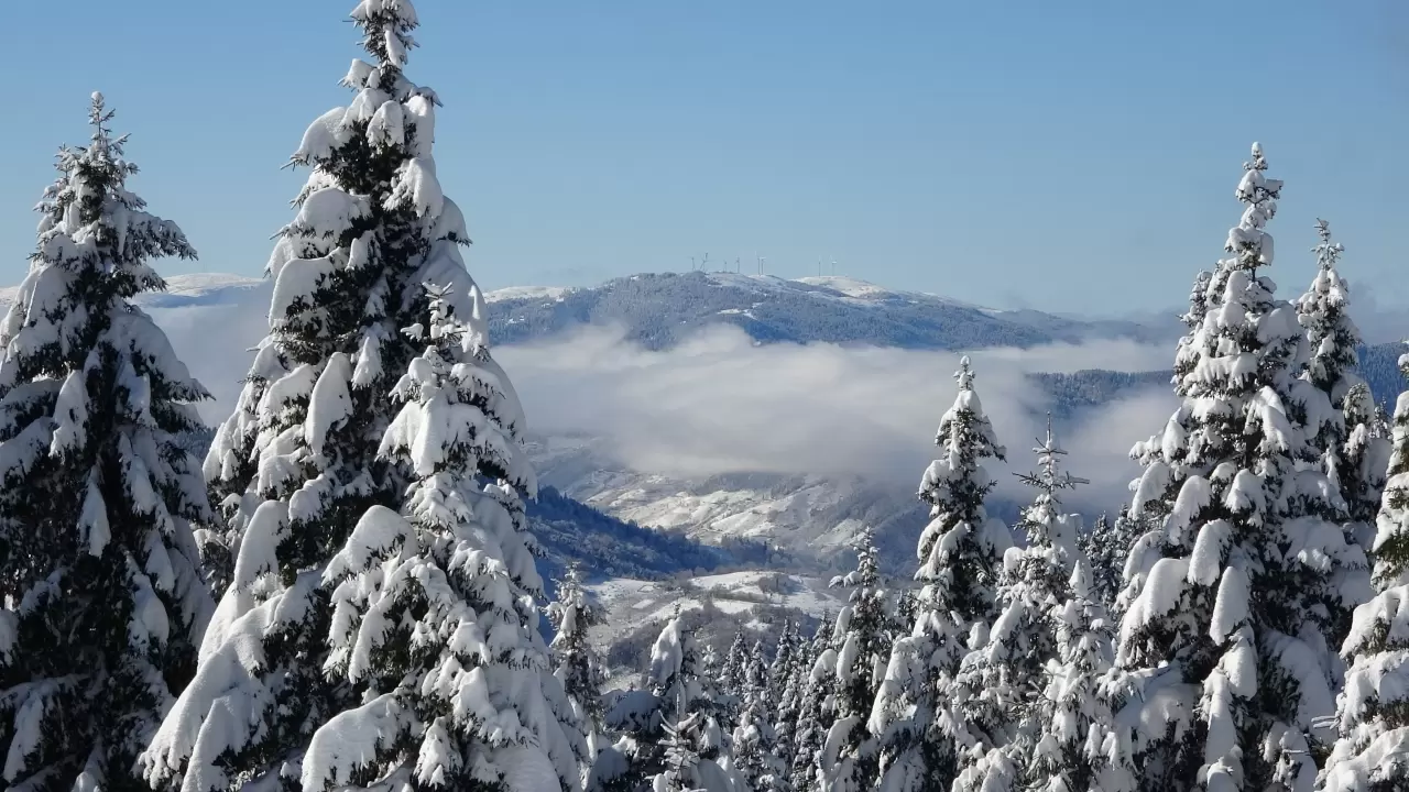 Ordu'nun Çambaşı Yaylası beyaza büründü 6