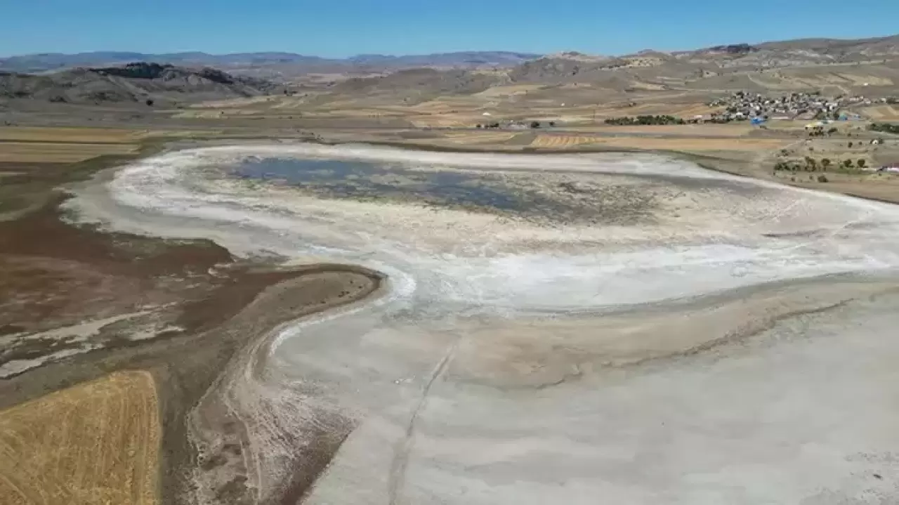 Kuruyan Bingöl Gölü yeniden hayat buldu: Kuşlar geri döndü 1