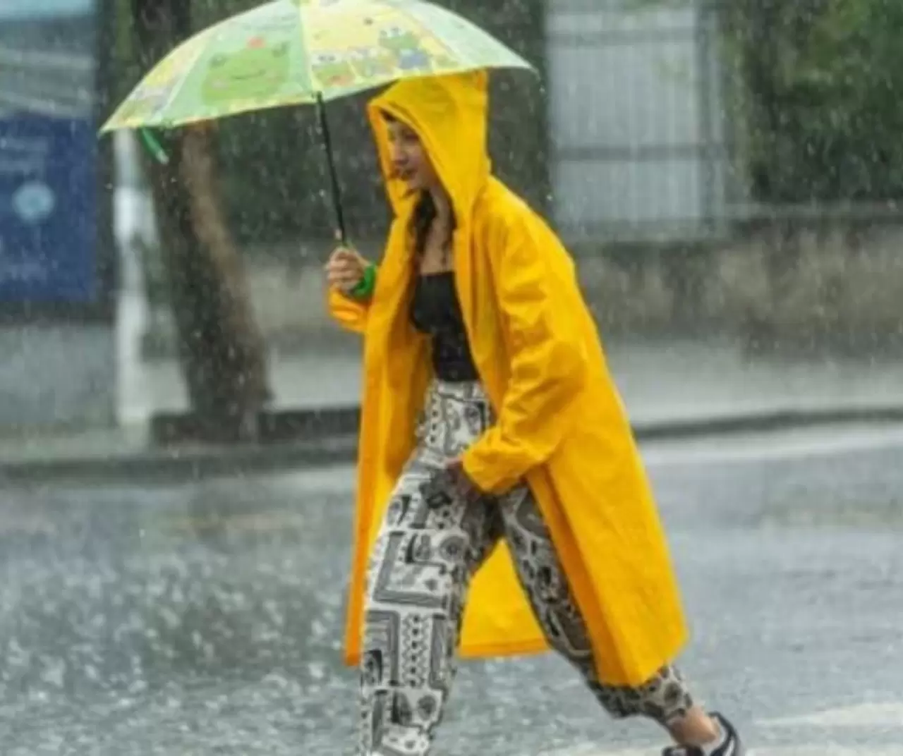 Meteoroloji uyardı! Bu şehirlerde yağmur, kar ve sis tehlikesi başlıyor 8