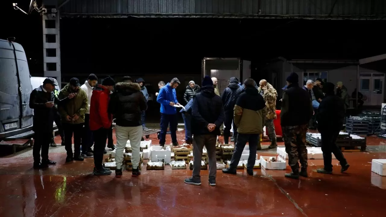 Balık hallerinde büyük tablo! Satışların yarısı tek türden çıktı 7