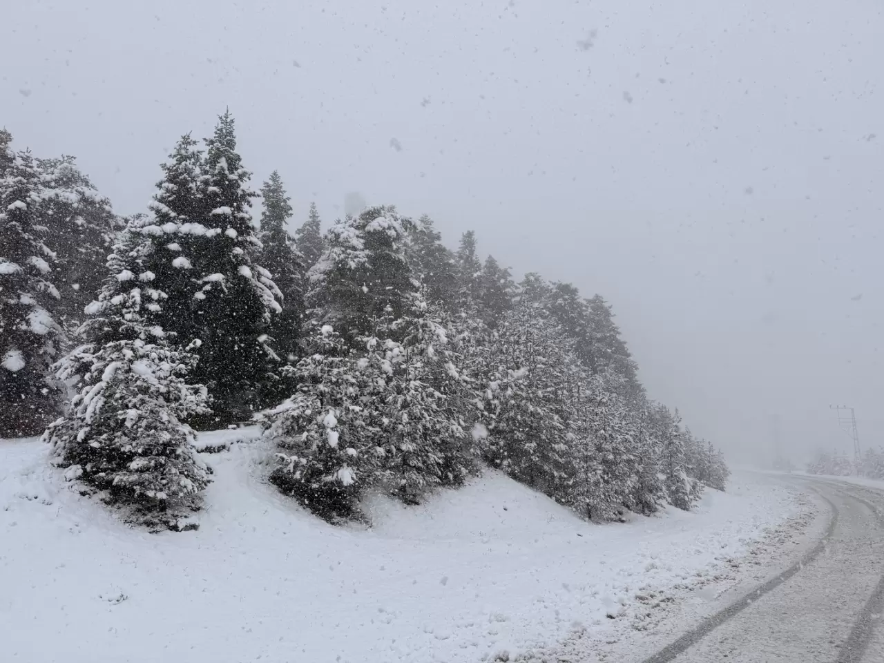 Samsun'un Kızlan Yaylası'nda kar etkili oldu 2