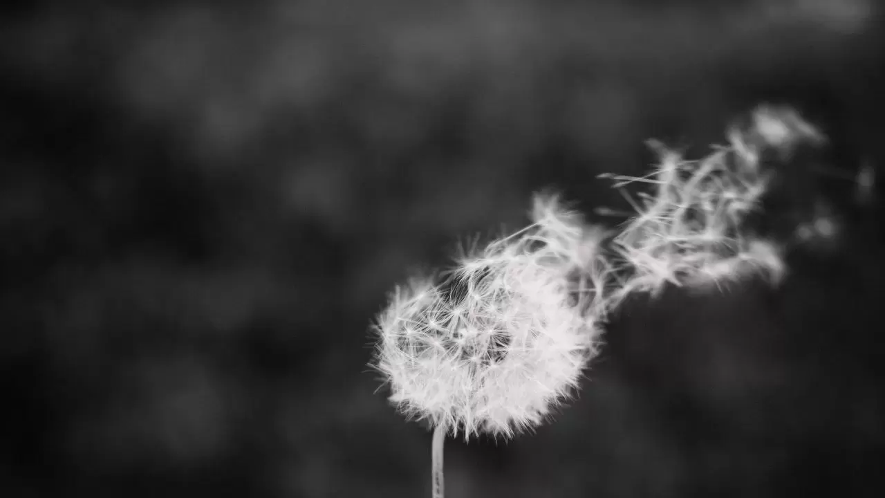 Meteoroloji uyardı: İstanbul’dan Doğu Anadolu’ya şiddetli yağış geliyor! 4