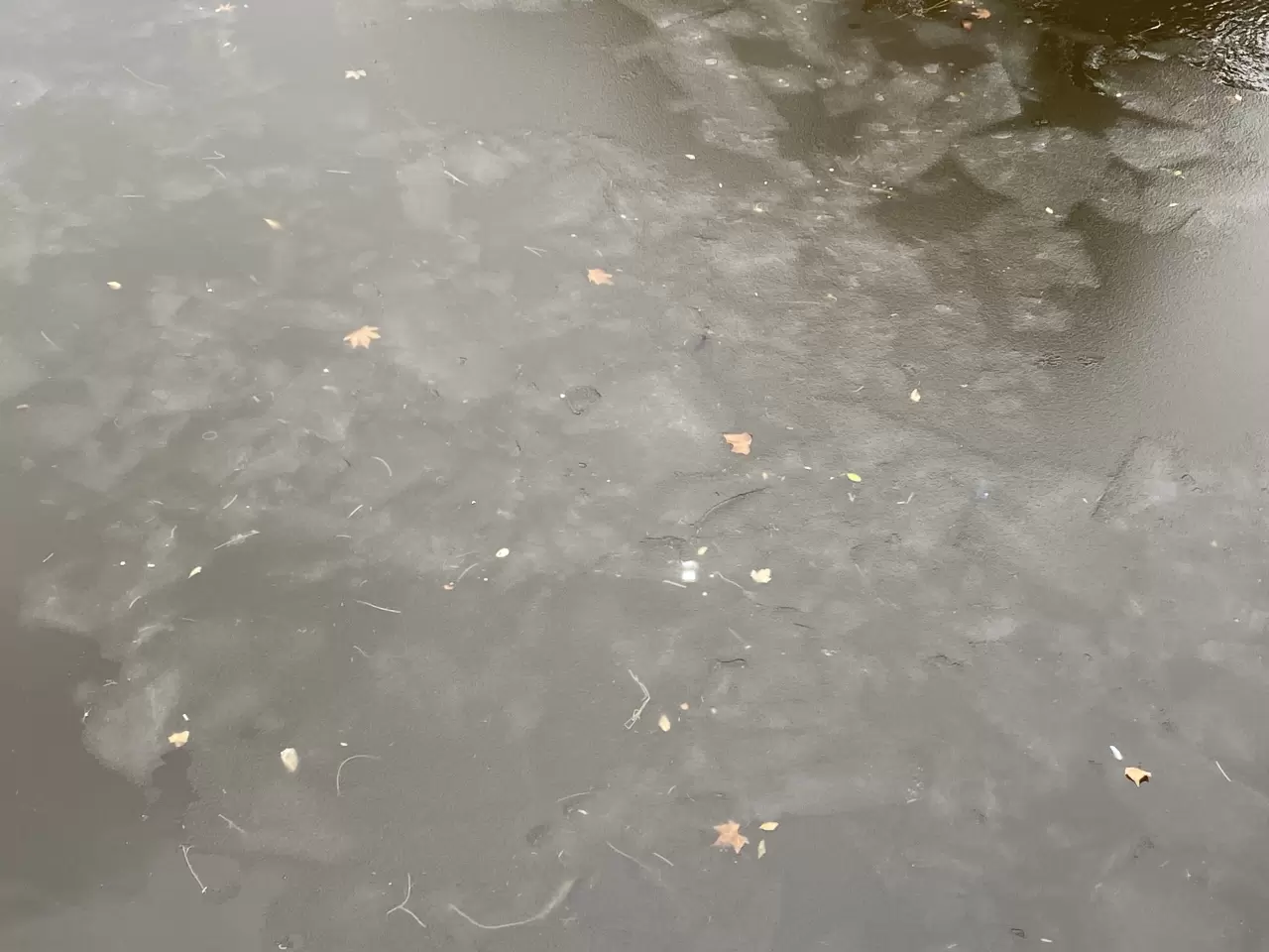 Eskişehir'de kaldırımlar buz pistine döndü: Porsuk Çayı buz tutmaya başladı 5