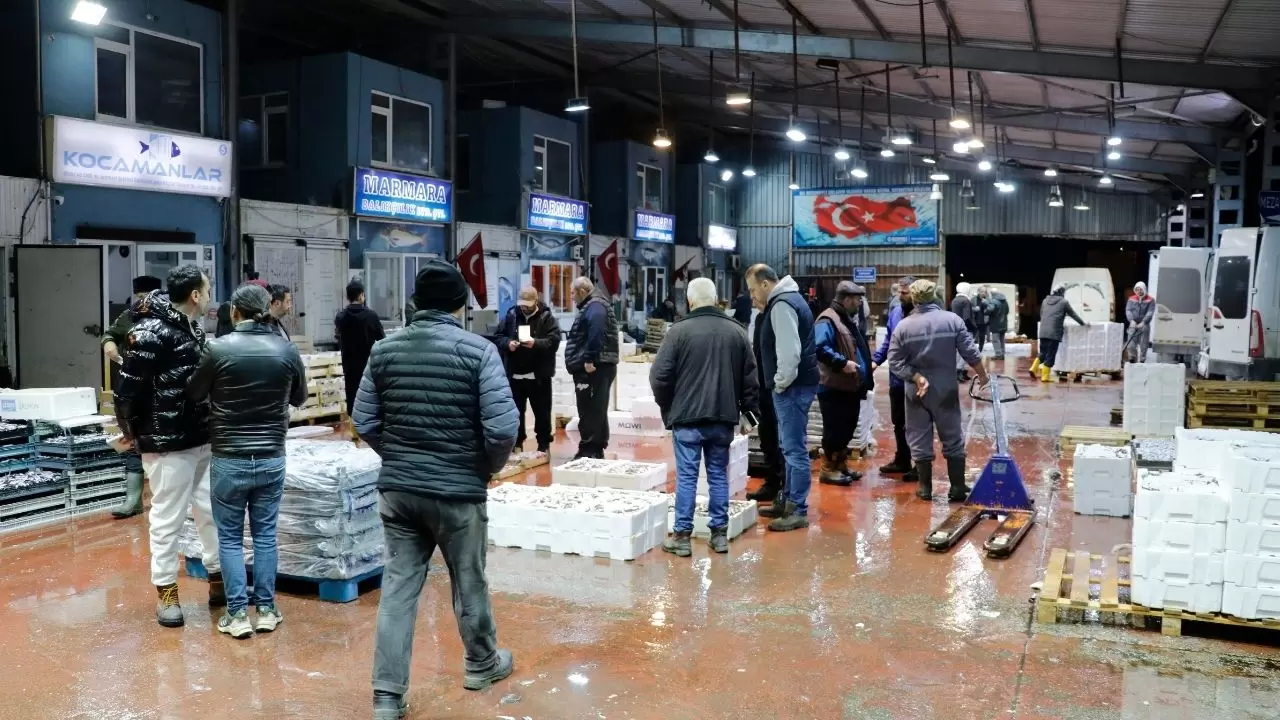 Balık hallerinde büyük tablo! Satışların yarısı tek türden çıktı 6