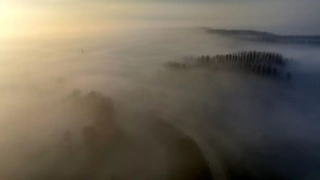 Yoğun sis Düzce’yi sardı: Anadolu Otoyolu’nda görüş mesafesi kritik seviyede! 3