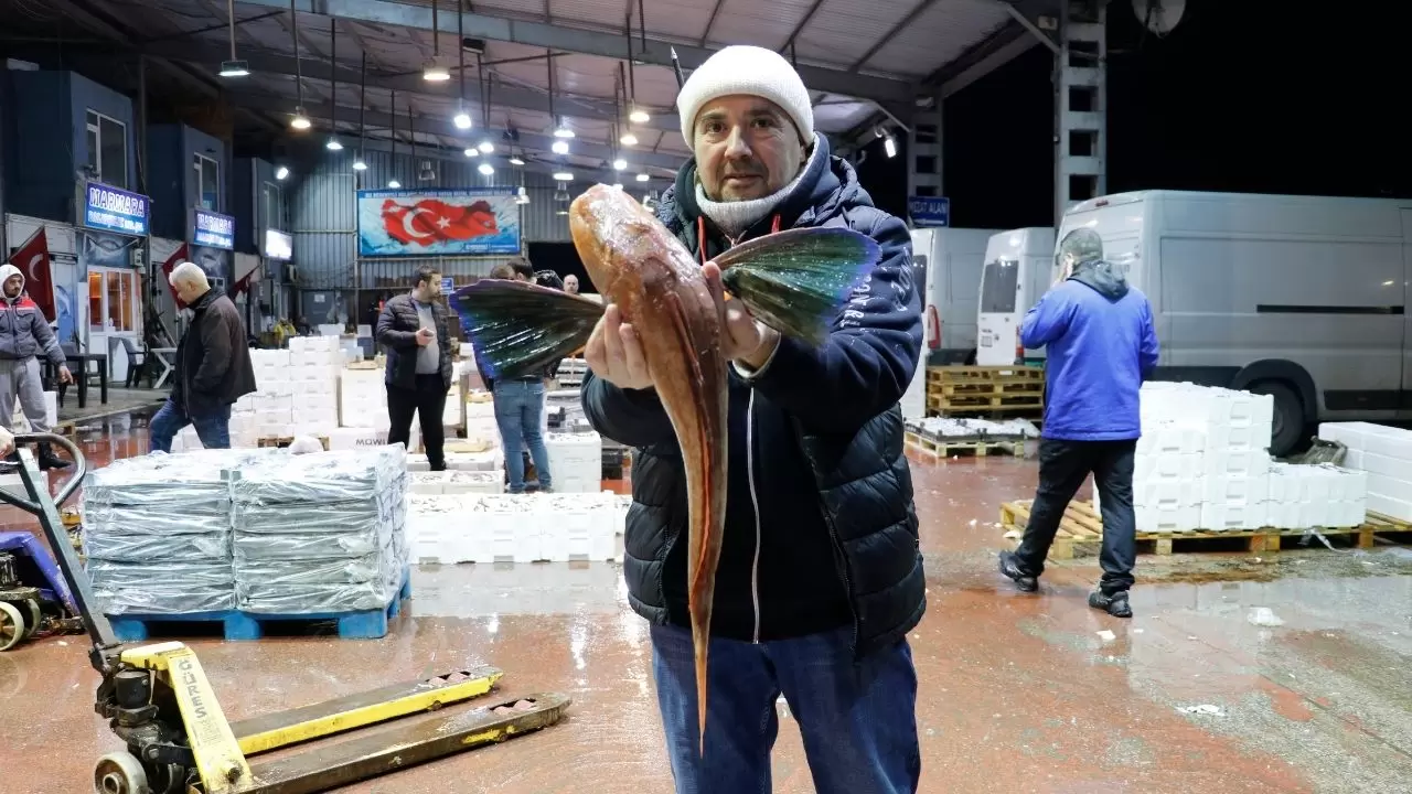 Balık hallerinde büyük tablo! Satışların yarısı tek türden çıktı 9