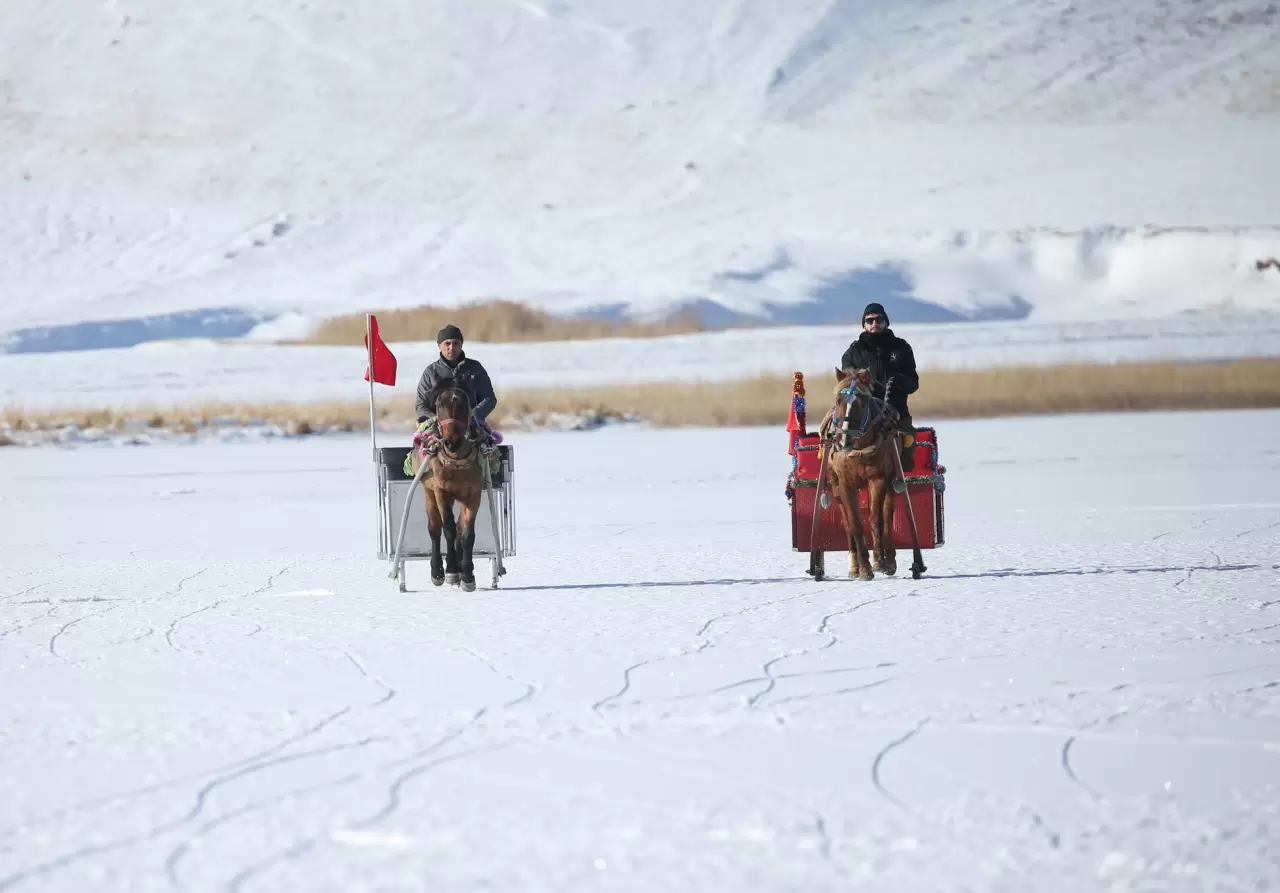 Çıldır Gölü'nün bir kısmı dondu! Buzda atlı kızaklarla safari keyfi 6