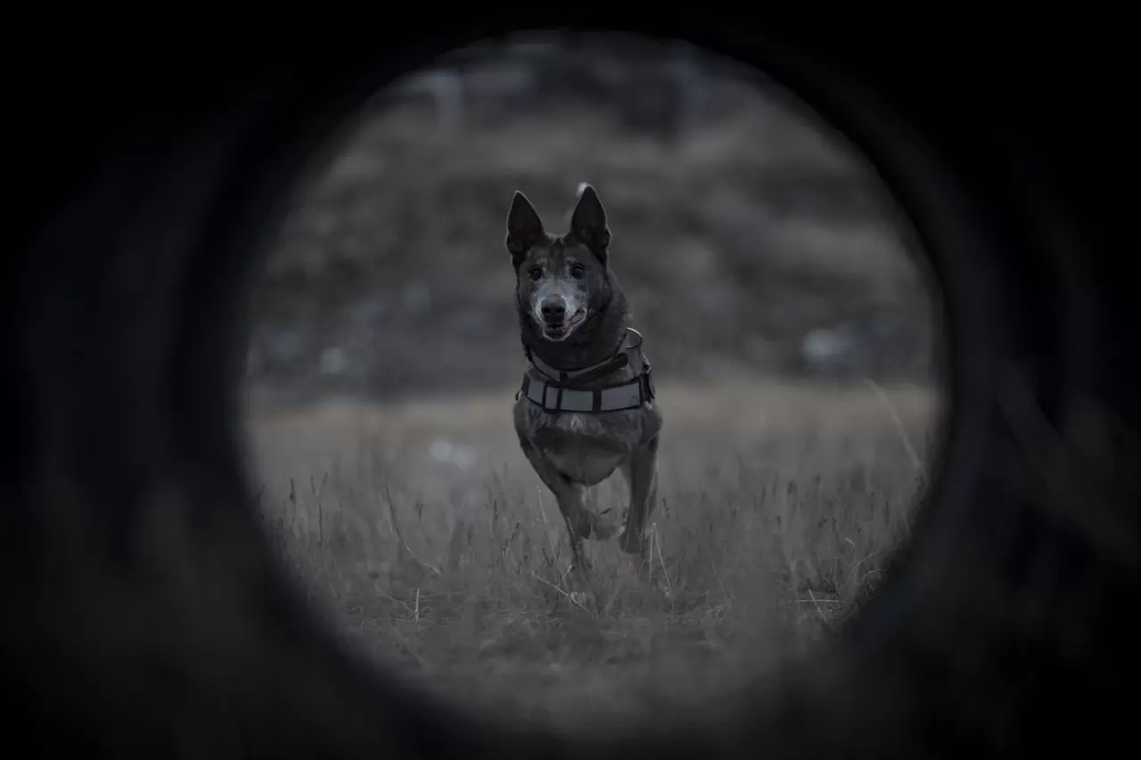 Sessiz kahraman Melo: 8 yılda 160 görevde hayatlara dokundu 17