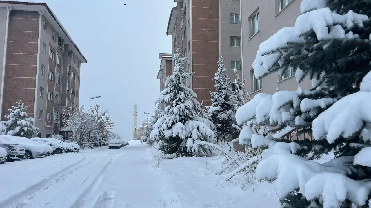 Van’da yoğun kar yağışı: Uçak seferleri rötar yaptı 6
