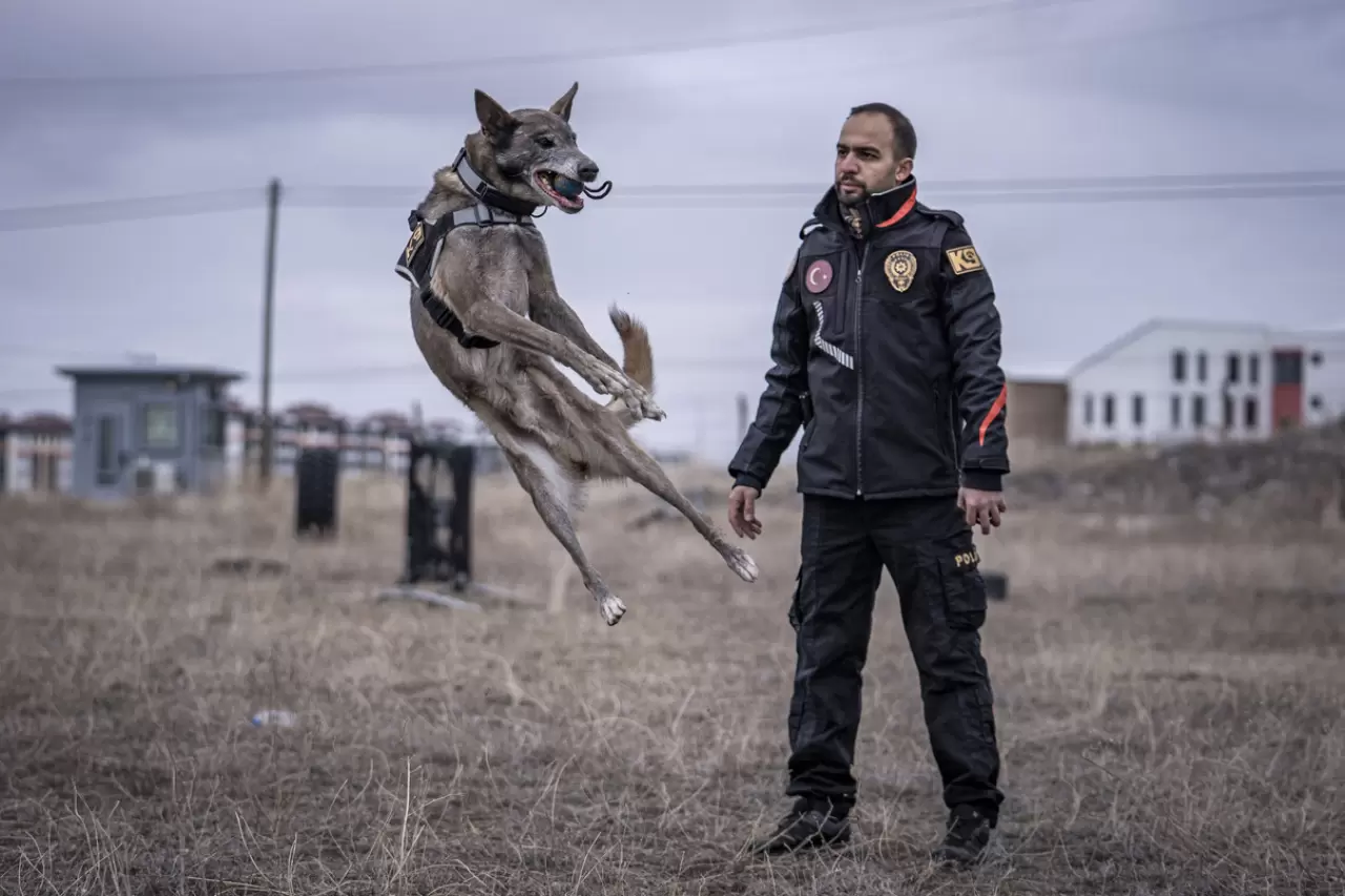 Sessiz kahraman Melo: 8 yılda 160 görevde hayatlara dokundu 15