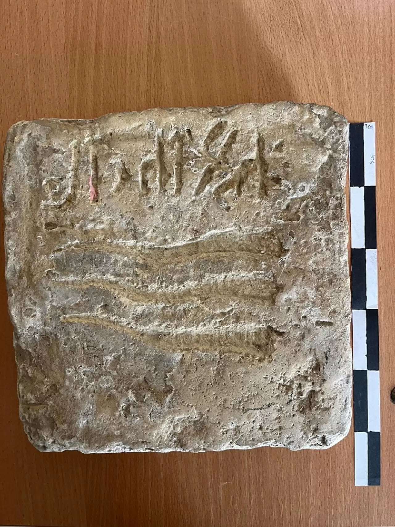 Tarihe ışık tutan keşif: Kazakistan’da Oğuz Yazıtı ortaya çıktı 2