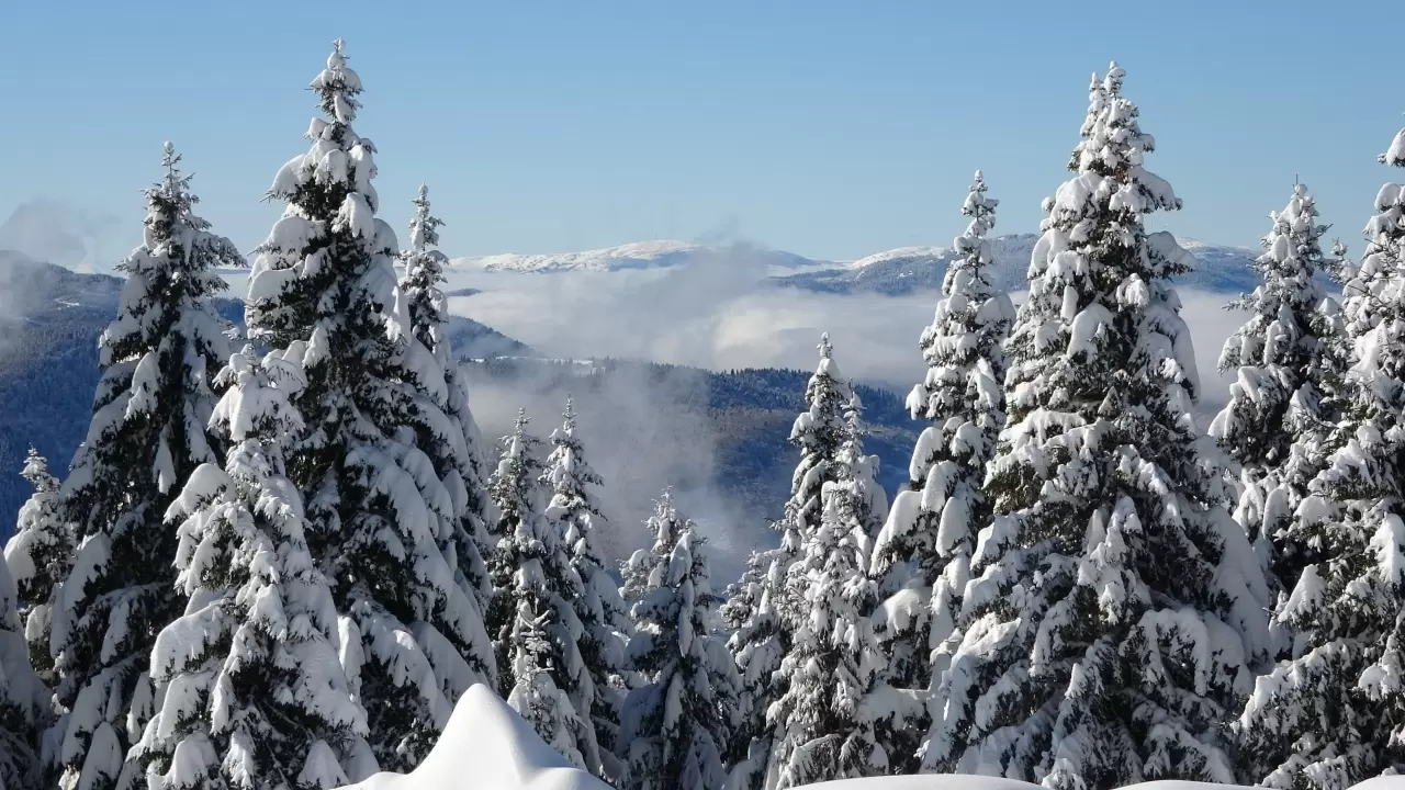 Ordu'nun Çambaşı Yaylası beyaza büründü 3