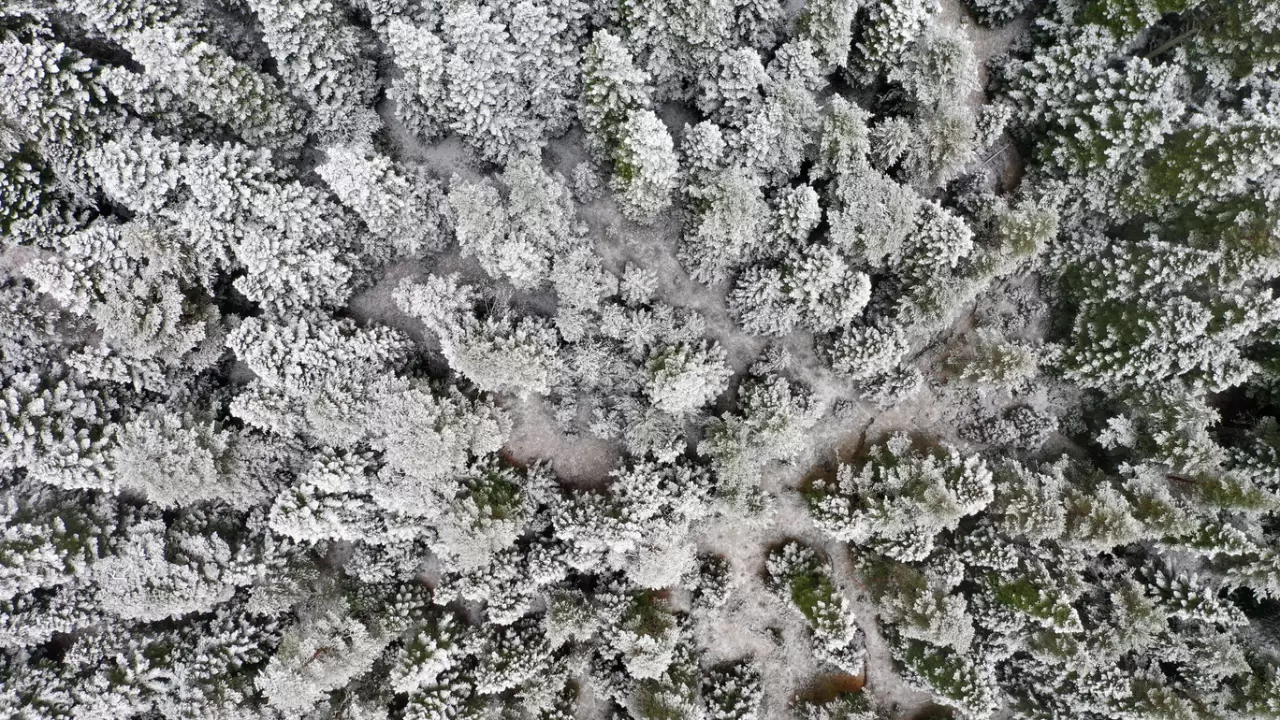 Ilgaz Dağı'ndaki kar ve sis havadan görüntülendi 5