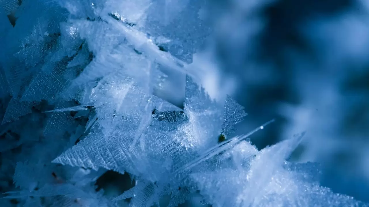 Meteoroloji uyardı: Bir yanda bahar havası, bir yanda kar ve don tehlikesi 2