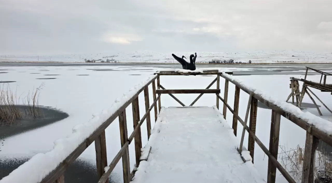 Sivas’ta soğuk hava etkisini artırdı: Hafik Gölü beyaza büründü 3