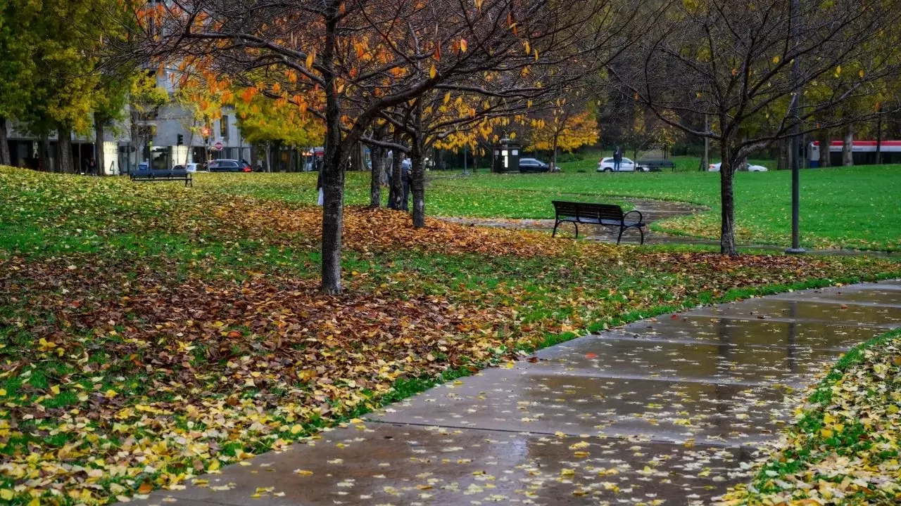 Atmosferik nehir fırtınası San Francisco’yu vurdu: Günlük hayat durdu 10
