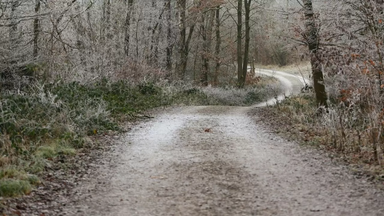 Meteoroloji uyardı: Sürücüler dikkat! Don ve pus geliyor 6