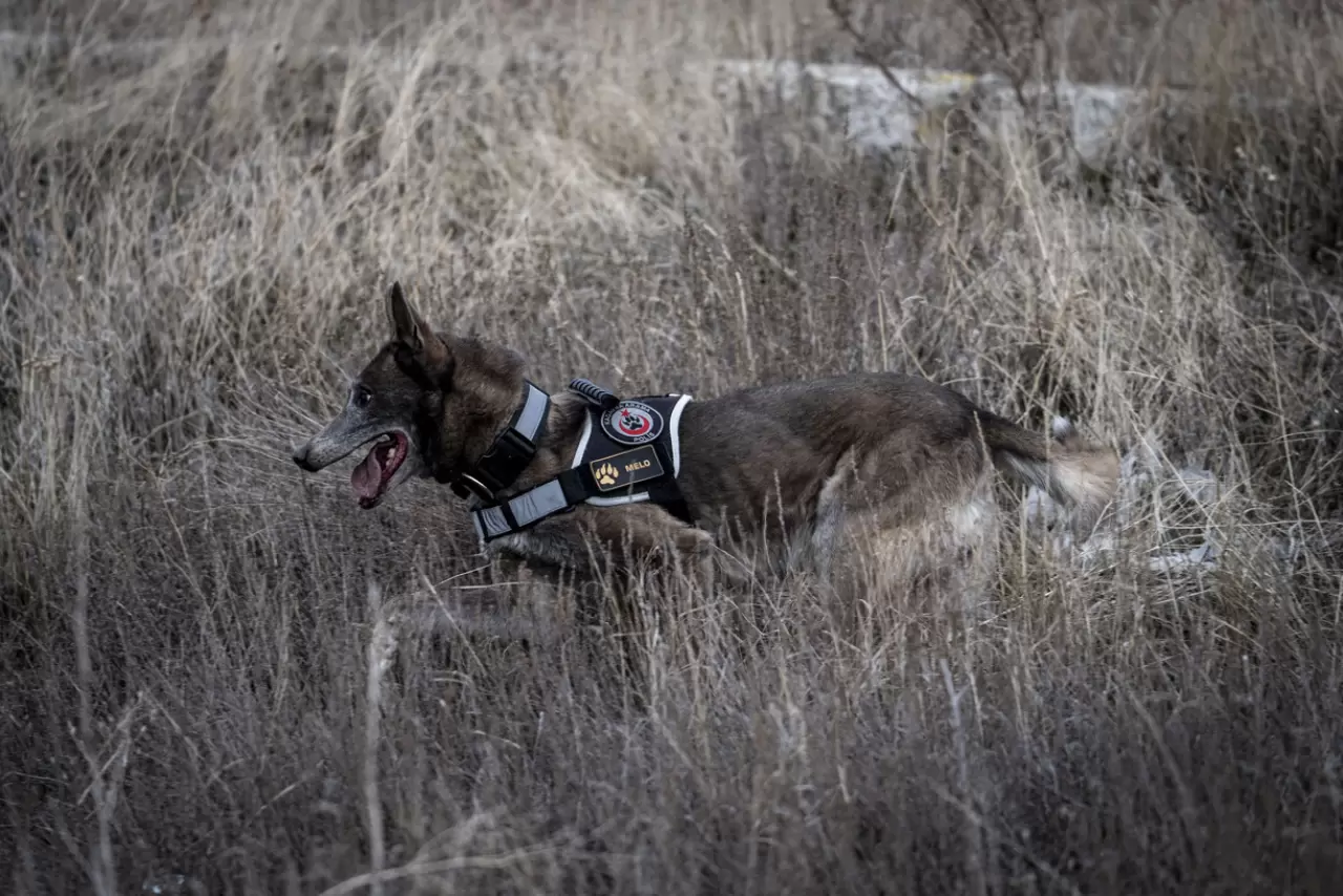 Sessiz kahraman Melo: 8 yılda 160 görevde hayatlara dokundu 16