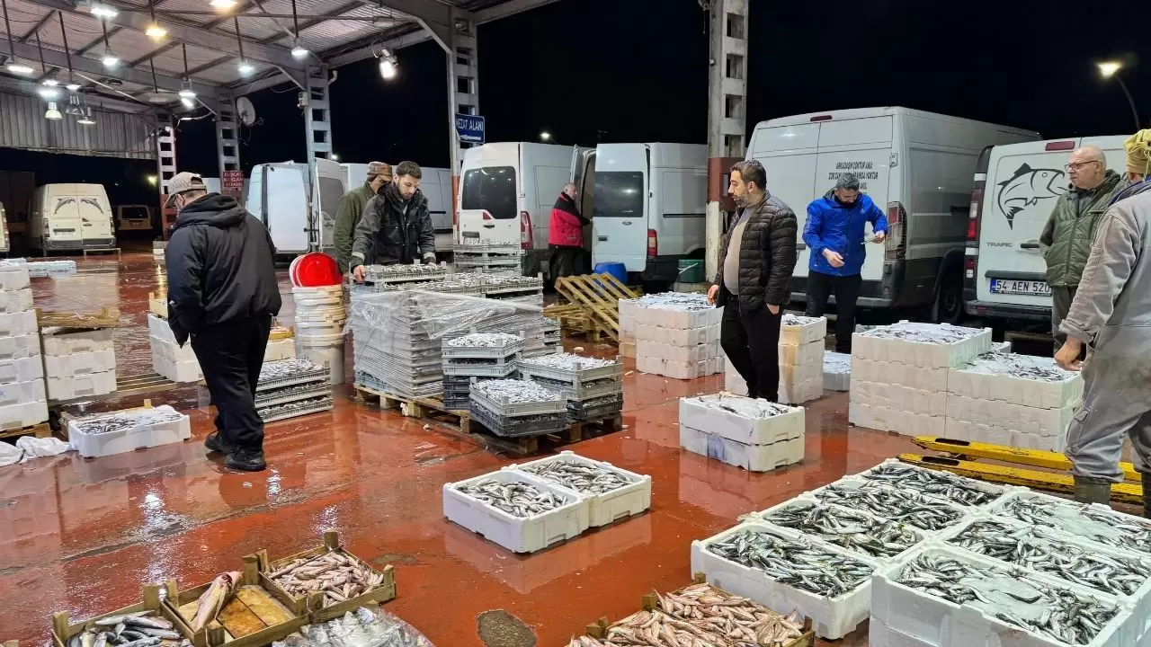 Balık hallerinde büyük tablo! Satışların yarısı tek türden çıktı 1