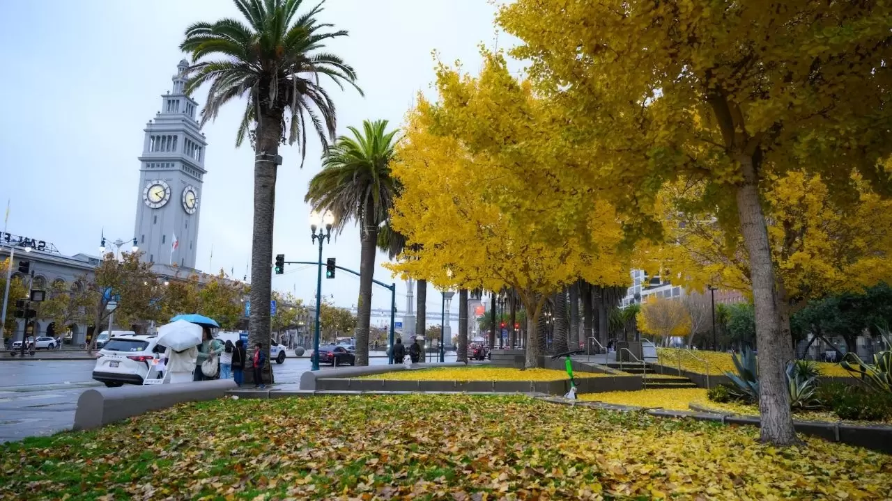 Atmosferik nehir fırtınası San Francisco’yu vurdu: Günlük hayat durdu 11
