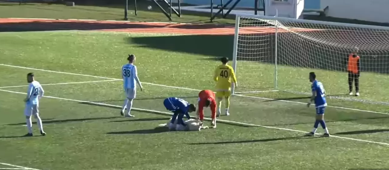 Uyuyan köpek maçın yıldızı oldu 3