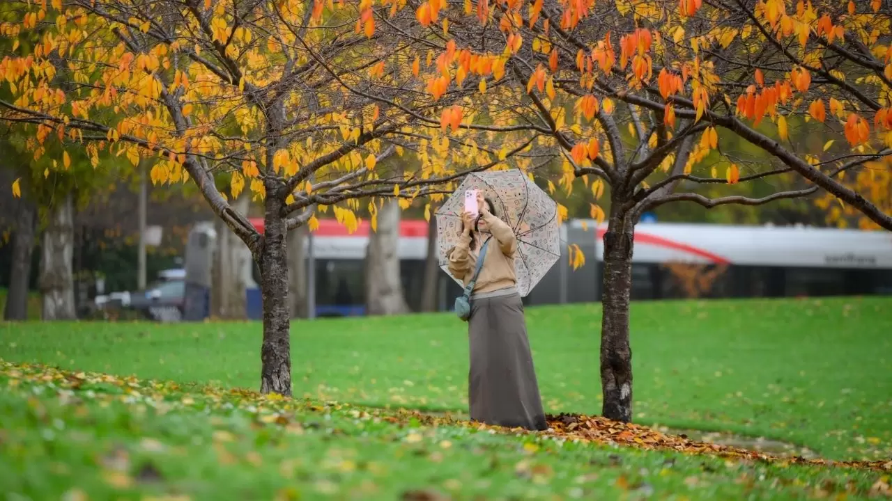 Atmosferik nehir fırtınası San Francisco’yu vurdu: Günlük hayat durdu 7