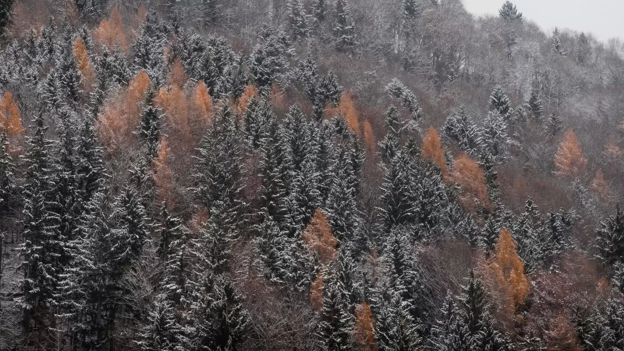 Hava koşulları kötüleşiyor: Türkiye’ye sis, yağmur ve kar uyarısı 7