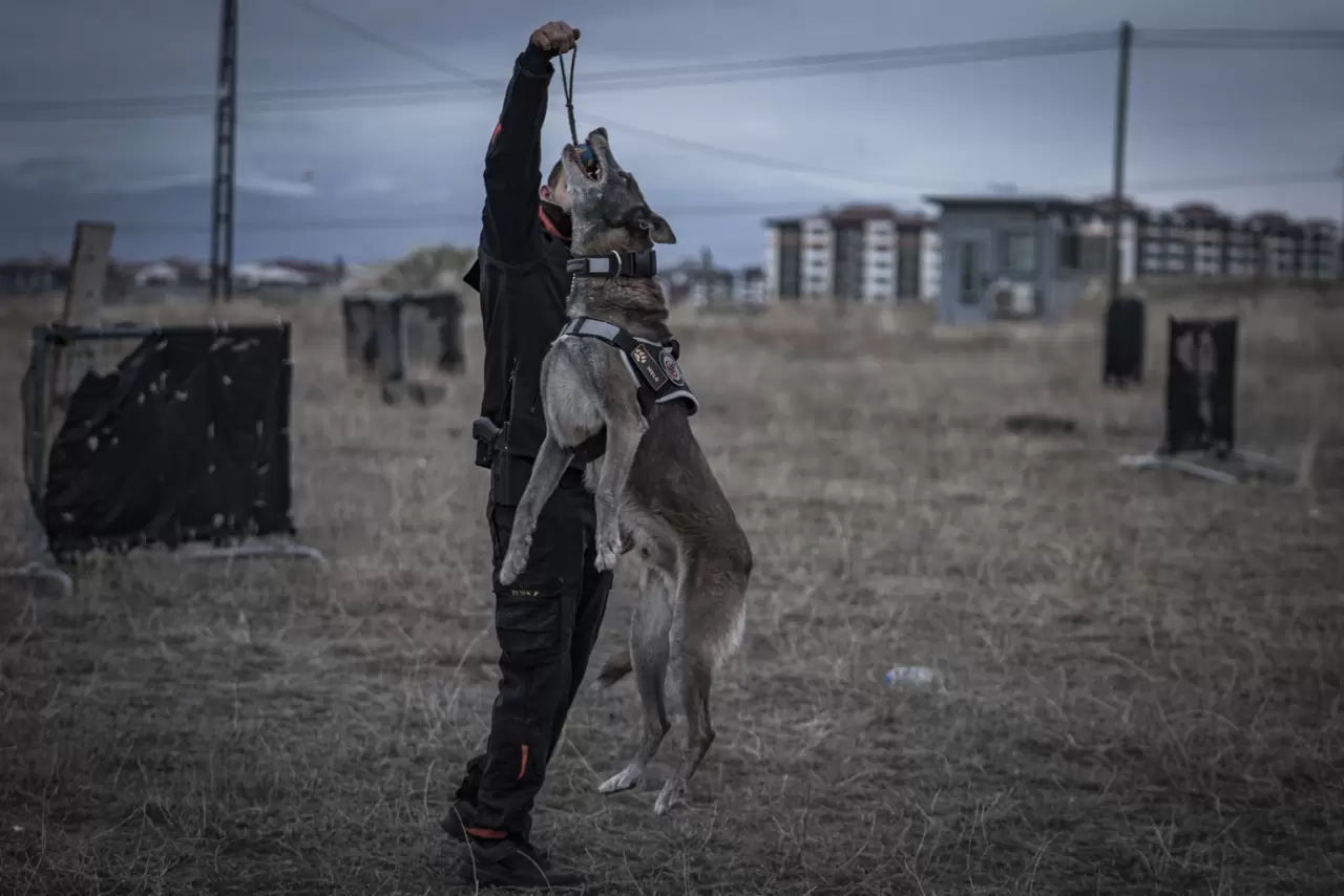 Sessiz kahraman Melo: 8 yılda 160 görevde hayatlara dokundu 12