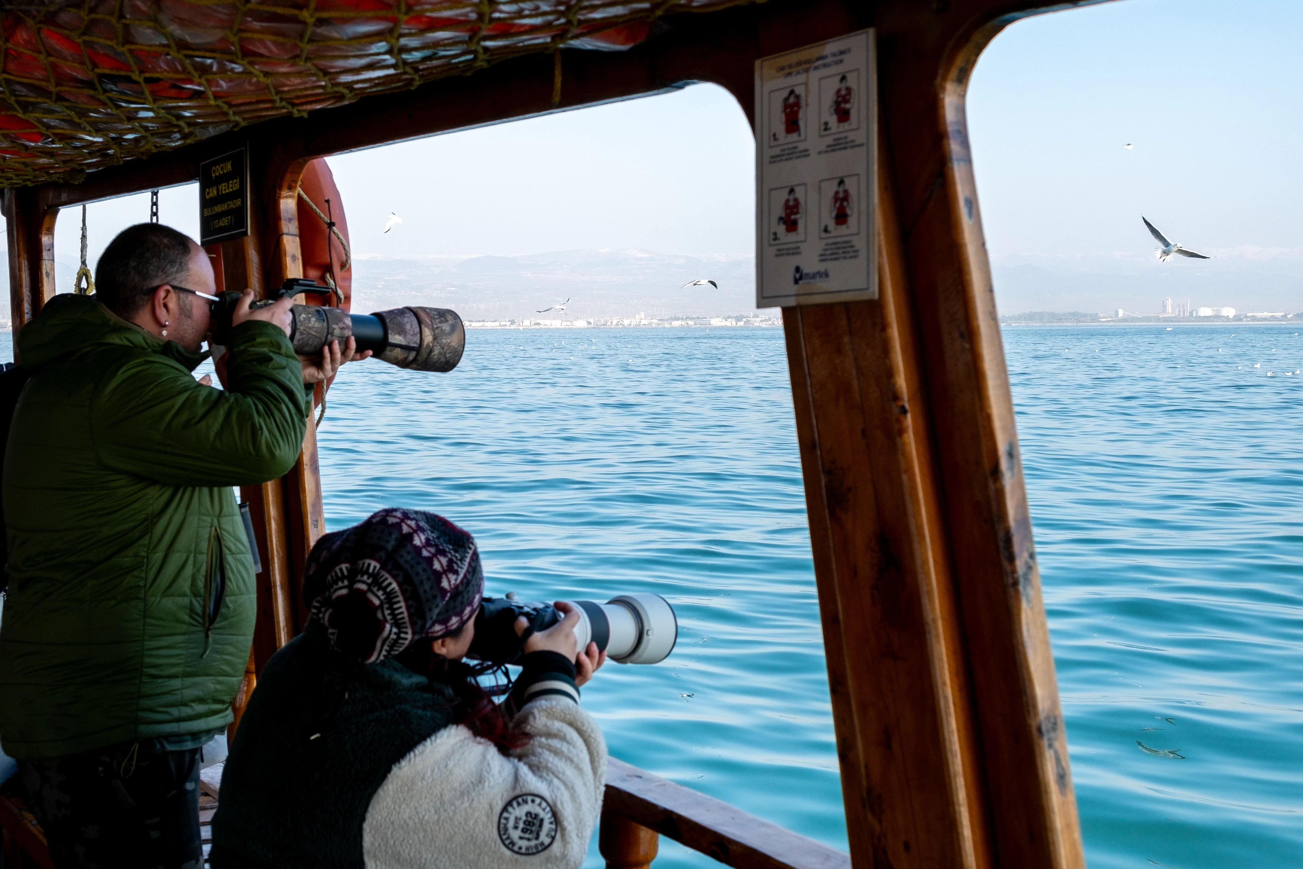 Doğu Akdeniz'deki martılar fotoğrafçıları büyüledi 7