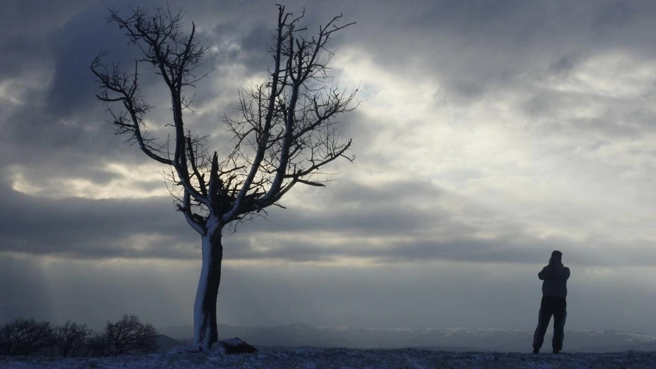 Türkiye'de yalnız yaşayanların sayısı belli oldu 6