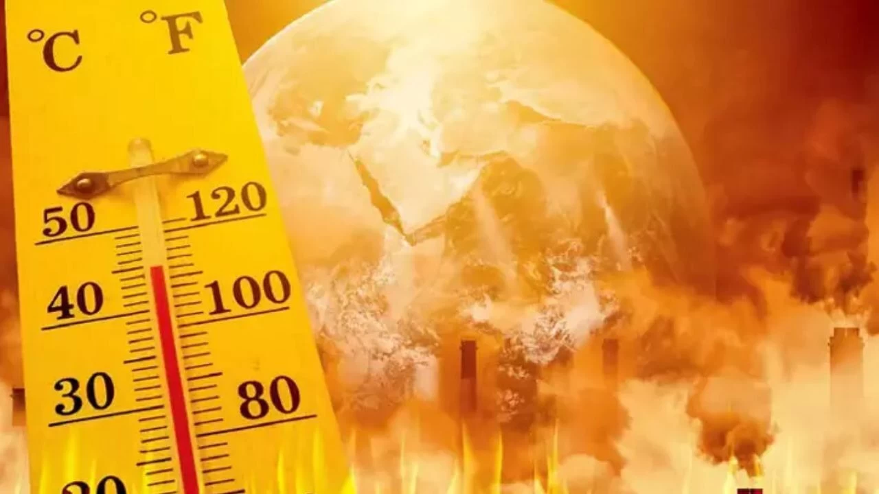 Bilim insanları uyardı: Yüzyılın sonunda insanlar için fazla sıcak risk taşıyabilir 1