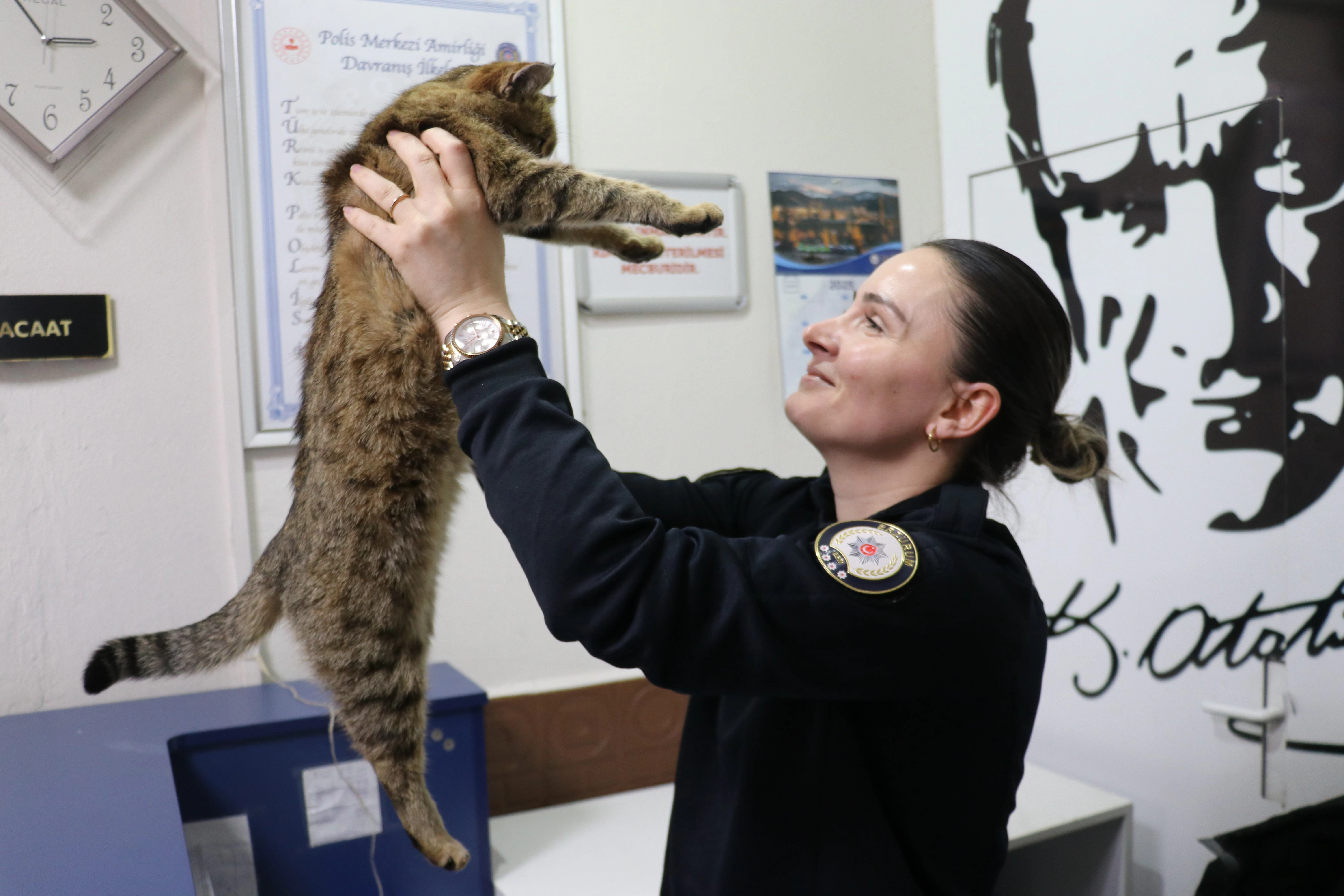 Erzurum'da donmak üzere bulunan kediler polis merkezinin sevimli maskotları oldular! 1