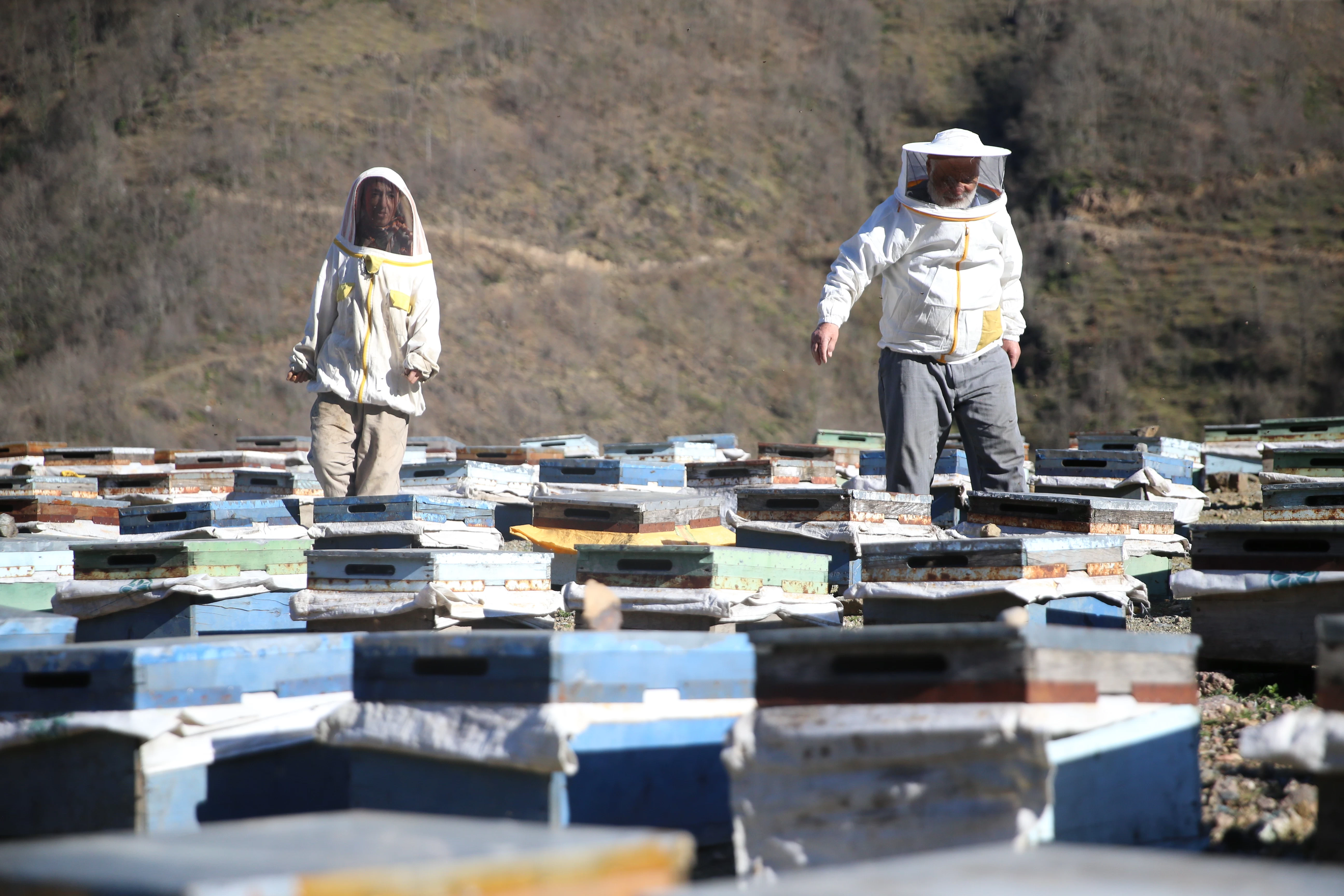 Ordu'da 50 yıldır kaliteli bal üretimine adanmış bir hayat 1