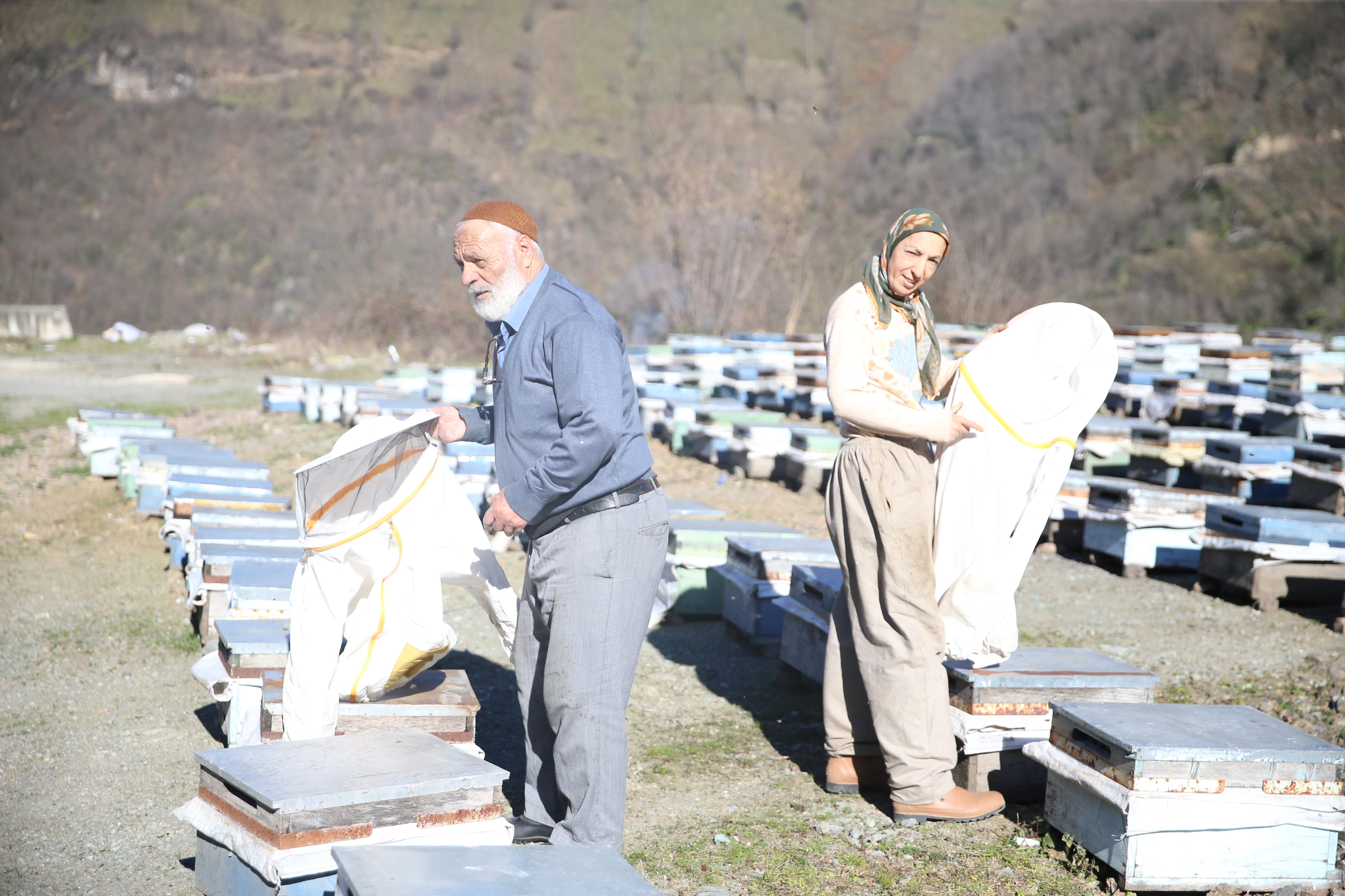 Ordu'da 50 yıldır kaliteli bal üretimine adanmış bir hayat 2