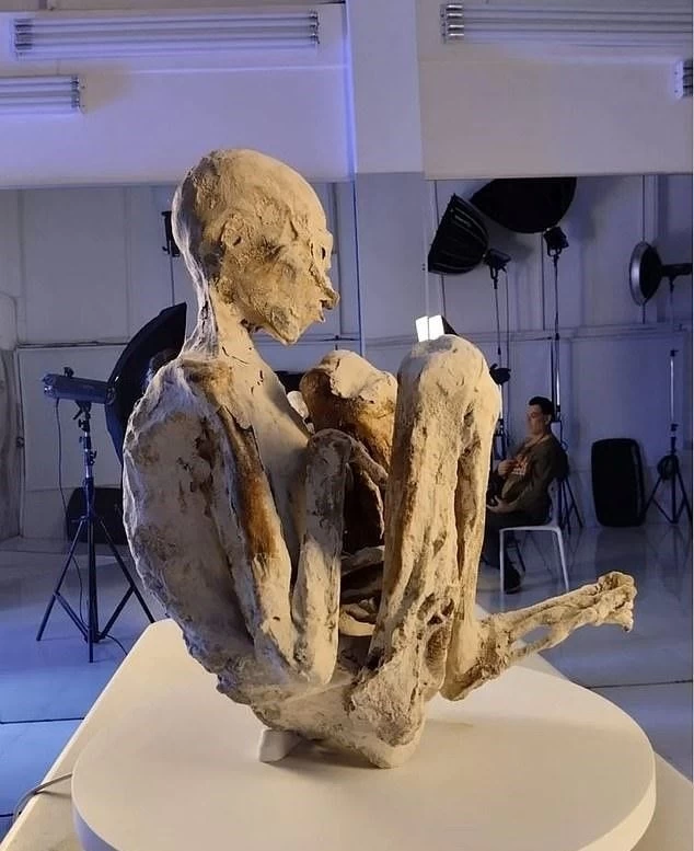 Bilim dünyası ikiye bölündü! Uzaylı mumya tartışmasında yeni iddia: "Bazıları hamile" 4