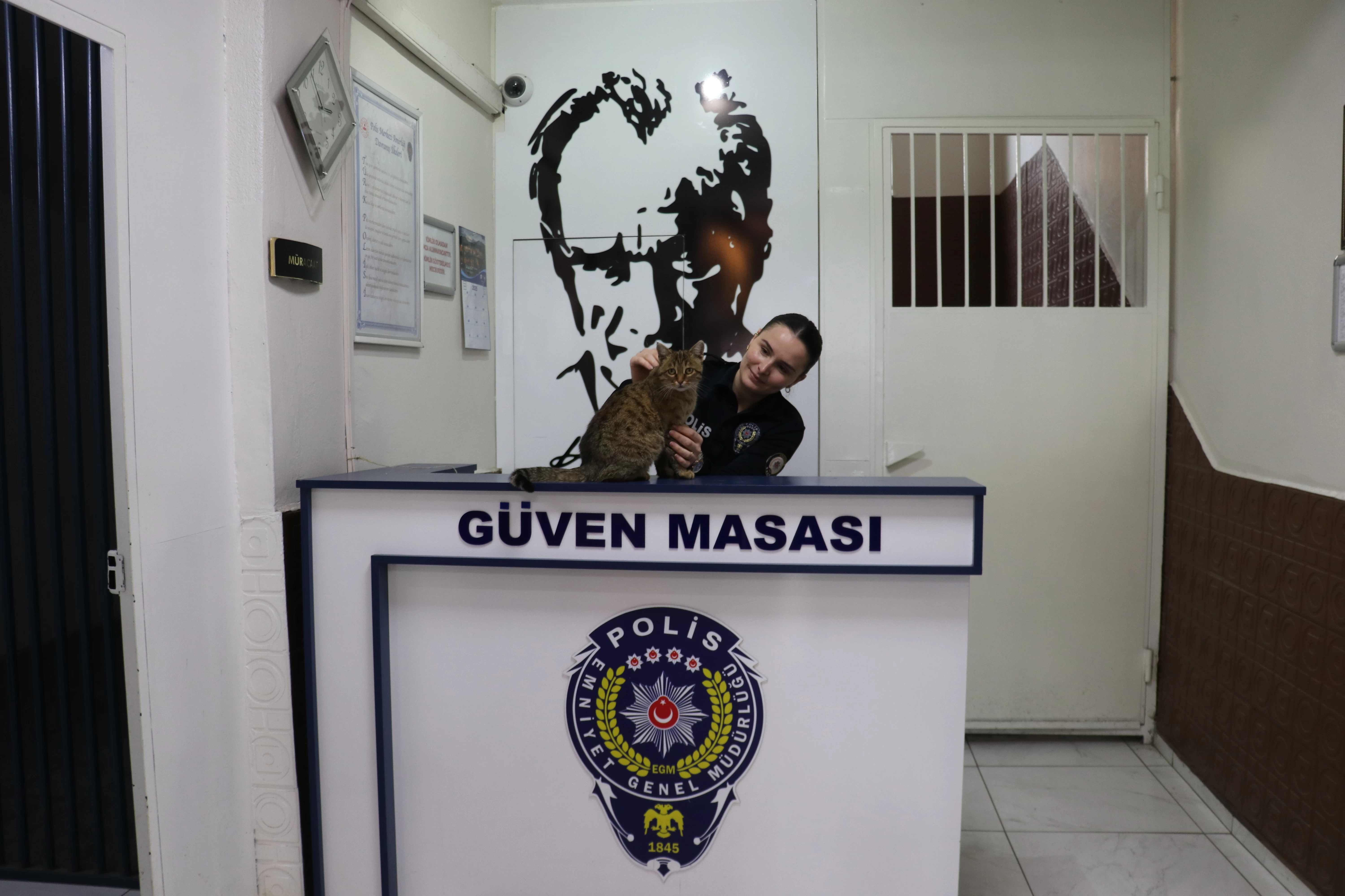 Erzurum'da donmak üzere bulunan kediler polis merkezinin sevimli maskotları oldular! 4