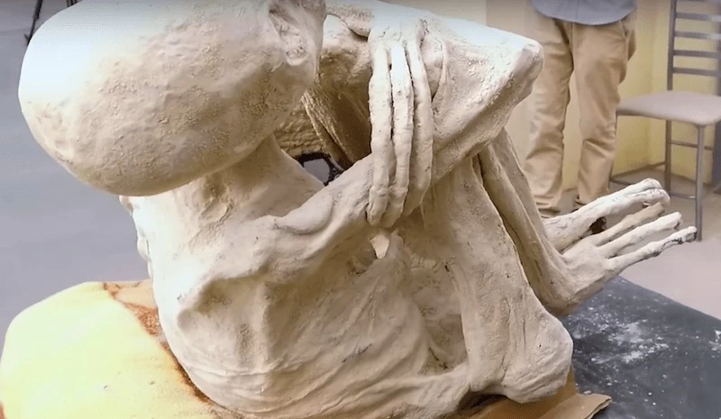 Bilim dünyası ikiye bölündü! Uzaylı mumya tartışmasında yeni iddia: "Bazıları hamile" 6