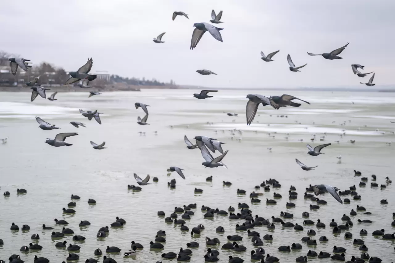 Ankara’da Mogan Gölü dondu 40