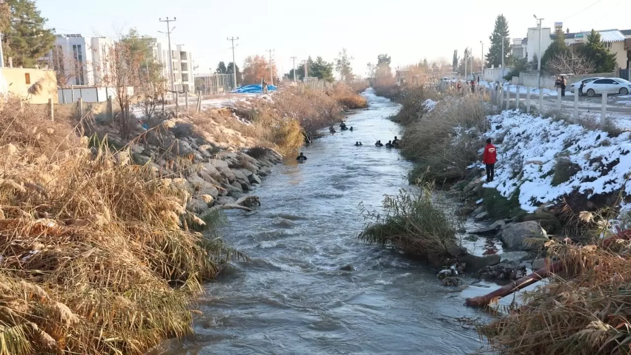 Harran’da sulama kanalına düşen araçta kayıp sürücü Halil Gündüz için seferberlik! 6